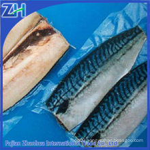 frozen pacific mackerel basa fish fillets